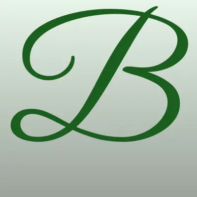 Бронницы Электрик Pro, лого-визитка