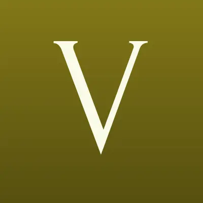 V-Gaz, компания обслуживания газового оборудования, лого-визитка